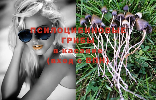 прущие крисы Дмитров