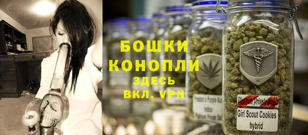 гидра Заводоуковск