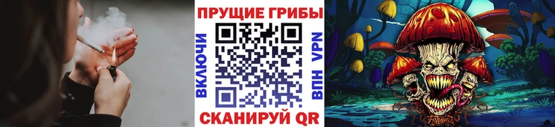 Псилоцибиновые грибы GOLDEN TEACHER Дмитров