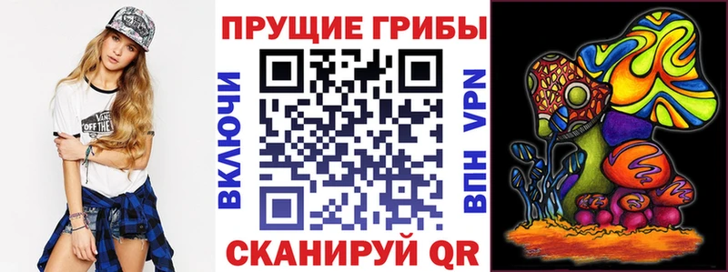 сайты даркнета состав Дмитров Галлюциногенные грибы мицелий