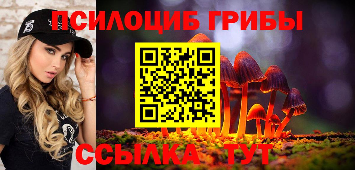 Галлюциногенные грибы MAGIC MUSHROOMS Дмитров