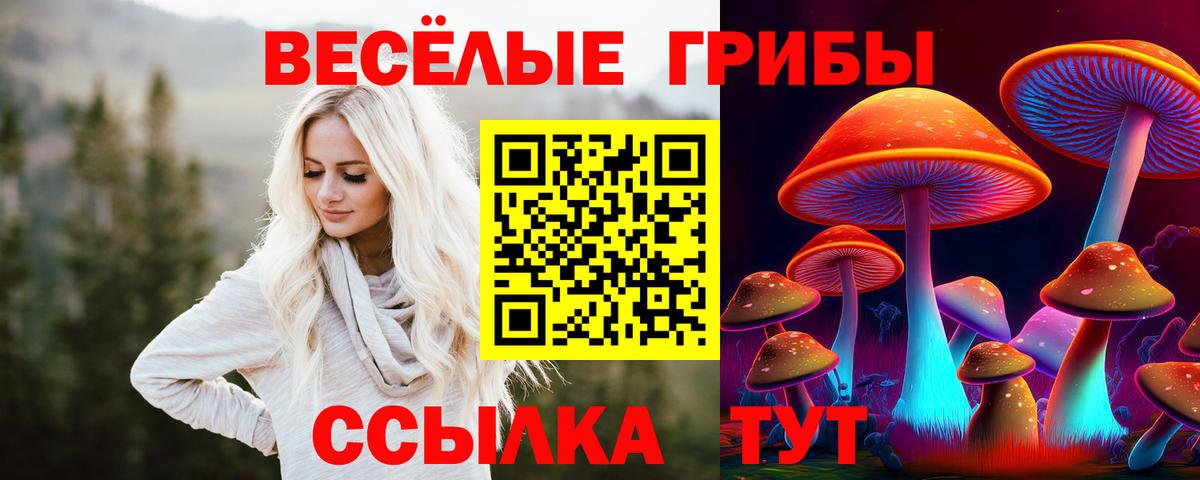 Дмитров  Псилоцибиновые грибы Psilocybe  купить наркоту  Вход с VPN 